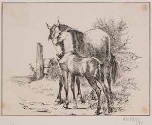 Koń i źrebię autorstwa Johan Adolph Kittendorff