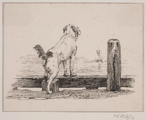 Pies na plaży autorstwa Johan Adolph Kittendorff