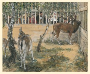 Dziki w zagrodzie. Z „Albumu dla dzieci” autorstwa Adolph Menzel