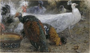 Biały paw z indyczką i kurami. Z „Albumu dla dzieci” autorstwa Adolph Menzel