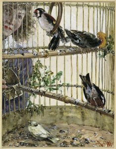 Szczygły i kanarek w gospodarstwie. Z „Albumu dla dzieci” autorstwa Adolph Menzel