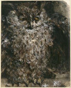  autorstwa Adolph Menzel