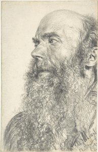Głowa brodatego mężczyzny autorstwa Adolph Menzel
