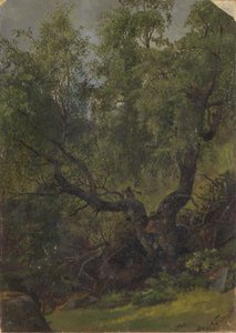  autorstwa Adolph Tidemand