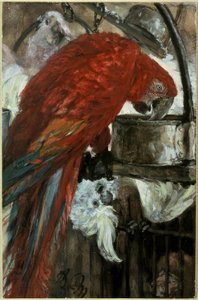 Ara i Kakadu autorstwa Adolph Menzel