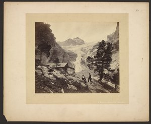 [Widok na Alpy z Faulhorn] autorstwa Adolphe Braun