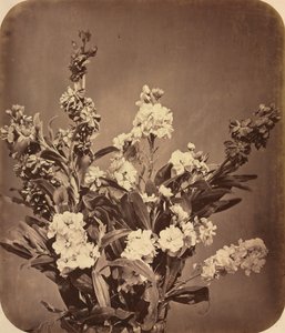 Bukiet, ok. 1855.