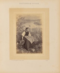 Kanton Schaffhausen autorstwa Adolphe Braun