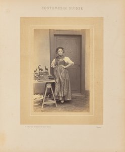 Kanton Thurgau autorstwa Adolphe Braun