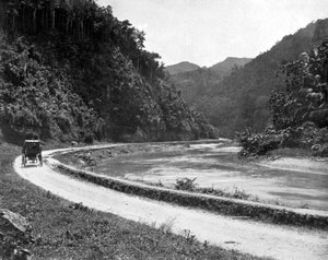 Droga do Bog Walk, Jamajka, ok. 1905. autorstwa Adolphe Duperly and Son