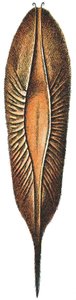 Etui na jajka Chimery autorstwa Adolphe Philippe Millot
