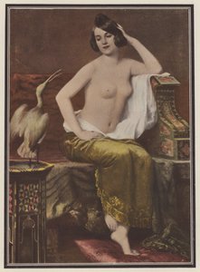 Faworyt, kobieta z ptakiem (kolor litho) autorstwa Adolphe Weisz