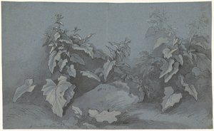 Badanie roślin autorstwa Adriaan Boudewyns