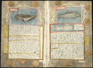 Visboeck Adriaena Coenena - KB 78 E 54 - folio 210v (po lewej) i 211r (po prawej)