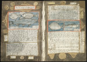 Visboeck Adriaena Coenena - KB 78 E 54 - folio 339v (po lewej) i 340r (po prawej)