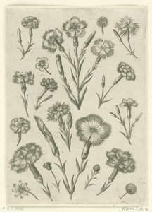 Różne gniewy Florilegium (tytuł serii) autorstwa Adriaen Collaert