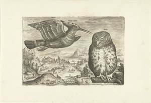 Niektóre ptaki w krajobrazie Ptaki (tytuł serii) Avivm vivae (tytuł serii) autorstwa Adriaen Collaert