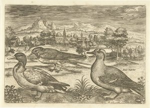 Niektóre ptaki w krajobrazie Ptaki (tytuł serii) Avivm vivae (tytuł serii) autorstwa Adriaen Collaert