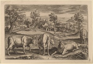 Cztery byki autorstwa Adriaen Collaert