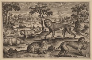  autorstwa Adriaen Collaert