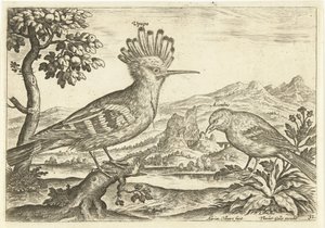 Dwa ptaki w krajobrazie Ptaki (tytuł serii) Avium Vivae (tytuł serii) autorstwa Adriaen Collaert