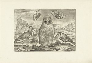 Ptaki i motyle w krajobrazie Ptaki (tytuł serii) Avium vivae (tytuł serii) autorstwa Adriaen Collaert