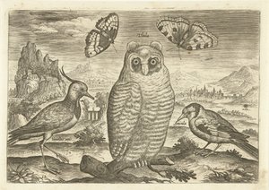 Ptaki i motyle w krajobrazie Ptaki (tytuł serii) Avium vivae (tytuł serii) autorstwa Adriaen Collaert