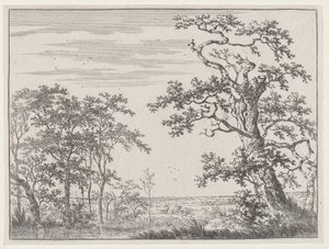 Krajobraz ze strumieniem i pradawnym drzewem autorstwa Adriaen Hendricks Verboom