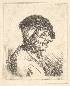 Głowa Chłopa, XVII wiek. autorstwa Adriaen Jansz. van Ostade