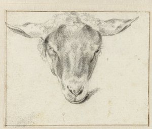 Głowa owcy, od przodu autorstwa Adriaen van de Velde (attributed to)