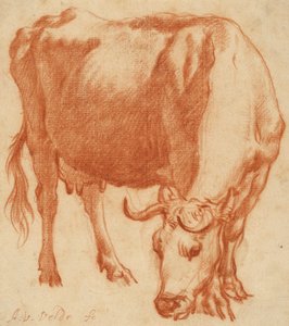 Wypas krowy, ok. 1663 (rysunek kredą czerwoną)
