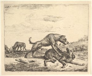Bojowe psy, z różnych zwierząt, 1657. autorstwa Adriaen van de Velde
