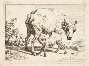 Owce i dwa baranki autorstwa Adriaen van de Velde