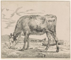 Wypas cieląt Zwierzęta gospodarskie (tytuł serii) autorstwa Adriaen van de Velde