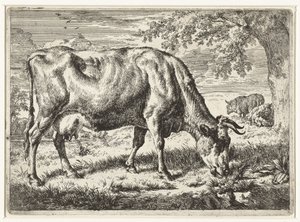 Wypas krowy i dwie owce Krowy i owce (tytuł serii) autorstwa Adriaen van de Velde