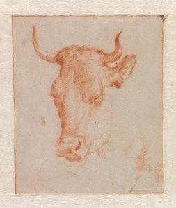 Krowia głowa autorstwa Adriaen van de Velde