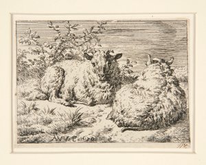 Dwie owce autorstwa Adriaen van de Velde