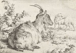Leżąca koza, 1670 autorstwa Adriaen van de Velde