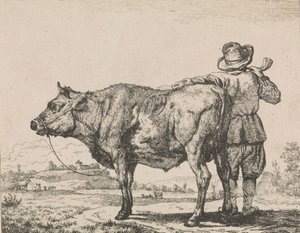 Człowiek stojący z bykiem autorstwa Adriaen van de Velde