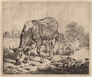 Cętkowany Byk i Trzy Owce autorstwa Adriaen van de Velde