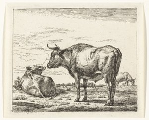 stojący byk Różne zwierzęta (tytuł serii) autorstwa Adriaen van de Velde