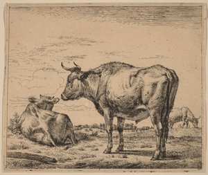 Stojący byk autorstwa Adriaen van de Velde