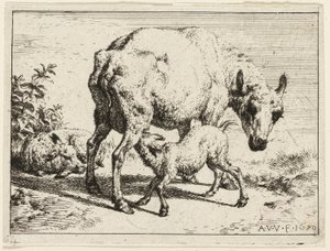 Jagnię autorstwa Adriaen van de Velde
