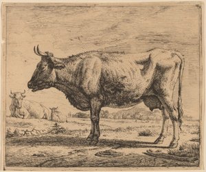 Dwie krowy i owca autorstwa Adriaen van de Velde