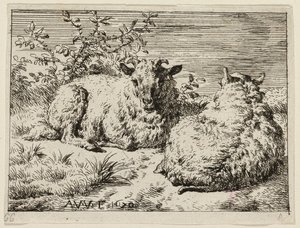 Dwie owce autorstwa Adriaen van de Velde