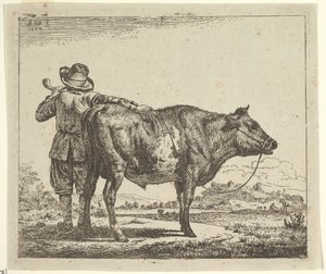 Młody pasterz z bykiem, z różnych zwierząt, 1659. autorstwa Adriaen van de Velde