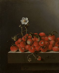 Martwa natura z dzikimi truskawkami, 1705 (olej na papierze na panelu)