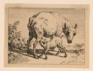 Ewe autorstwa Adrian van de Velde