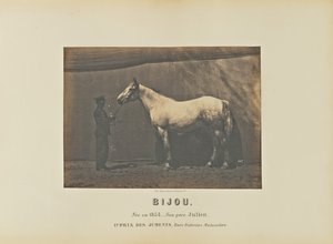 Bijou autorstwa Adrien Alban Tournachon