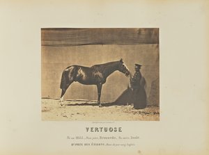 W Vertuose